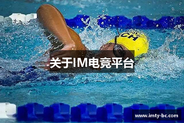 关于IM电竞平台